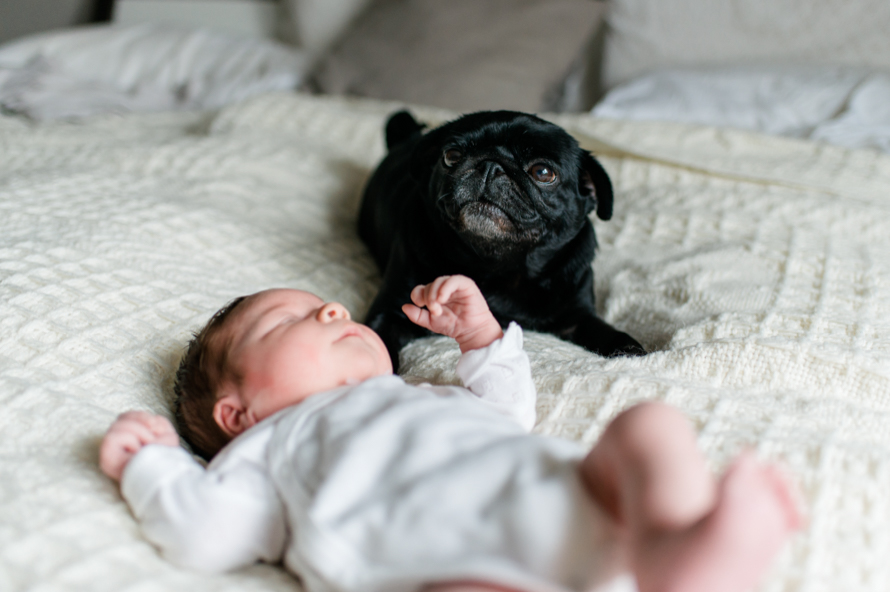Homestory Newborn Familienfotos Babyfotos Lebensreportage 13