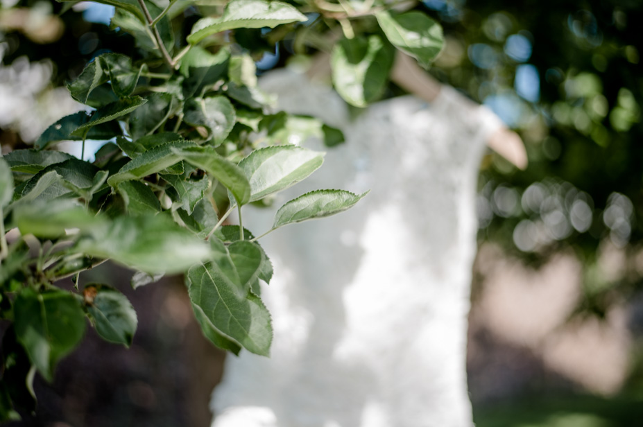 Sommerhochzeit Wuerzburg Schweinfurth Scheunenhochzeit Ginbar Hochzeitsfotograf Ansbach 02