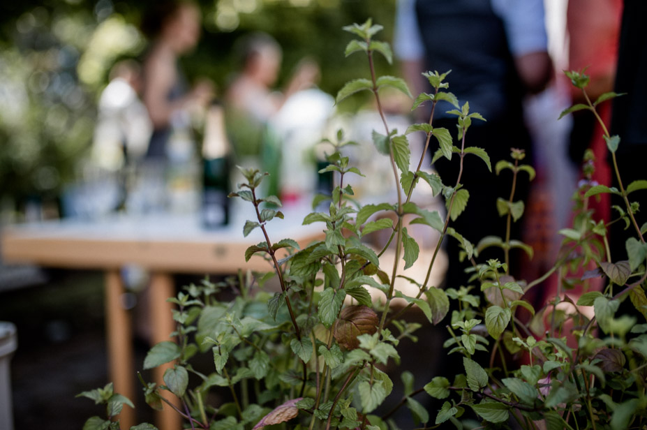 Gewaechshaus Hochzeit Boho Bohostyle Wedding Barnwedding Nuernberg Spiegelhof Fotografie Hochzeitsfotos Ansbach 030