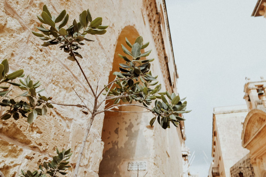 Malta Reiseblog Travelblog Spiegelhof Fotografie Travelphotography Travelpics Maltapics 09