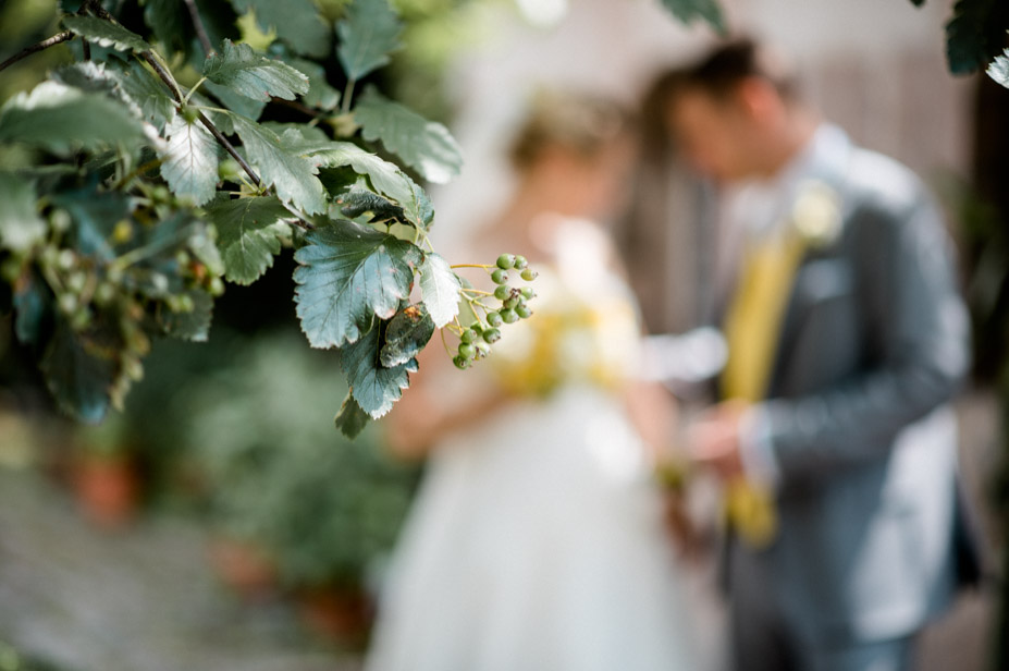 Hochzeitsreportage Nuernberg Gwaechshaus Hochzeitsfotos Zitronendeko Sommerhochzeit 48