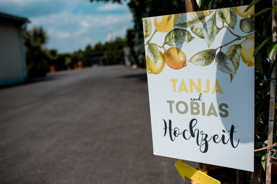 Hochzeitsreportage Nuernberg Gwaechshaus Hochzeitsfotos Zitronendeko Sommerhochzeit 61