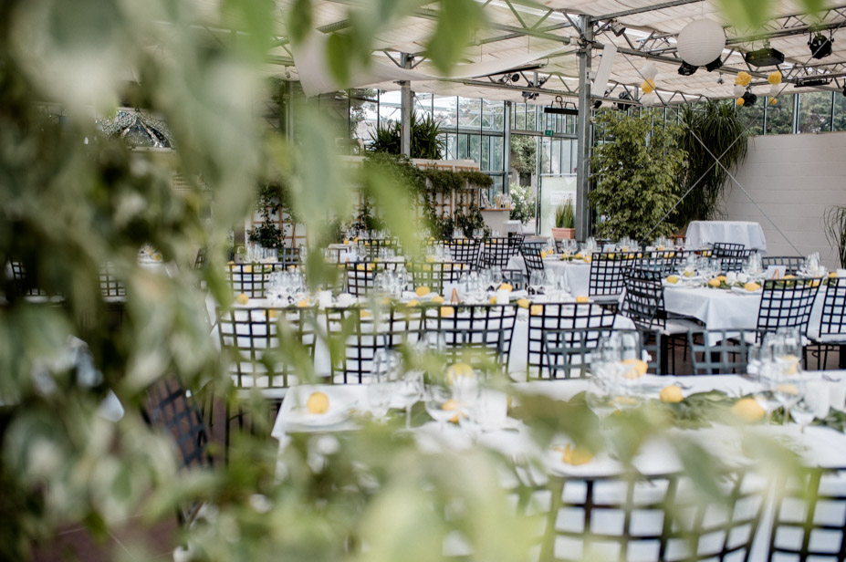 Hochzeitsreportage Nuernberg Gwaechshaus Hochzeitsfotos Zitronendeko Sommerhochzeit 65