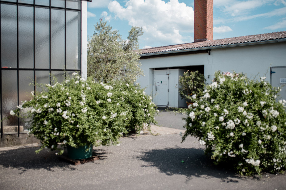 Hochzeitsreportage Nuernberg Gwaechshaus Hochzeitsfotos Zitronendeko Sommerhochzeit 85