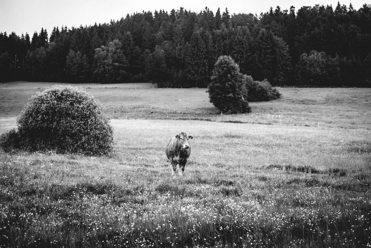 Businessfotografie - Businessportraits f&uuml;r dein Unternehmen